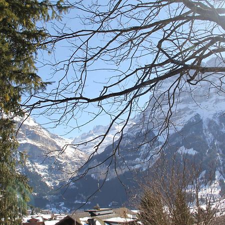Lodge - Elements Lodge Grindelwald Exteriér fotografie