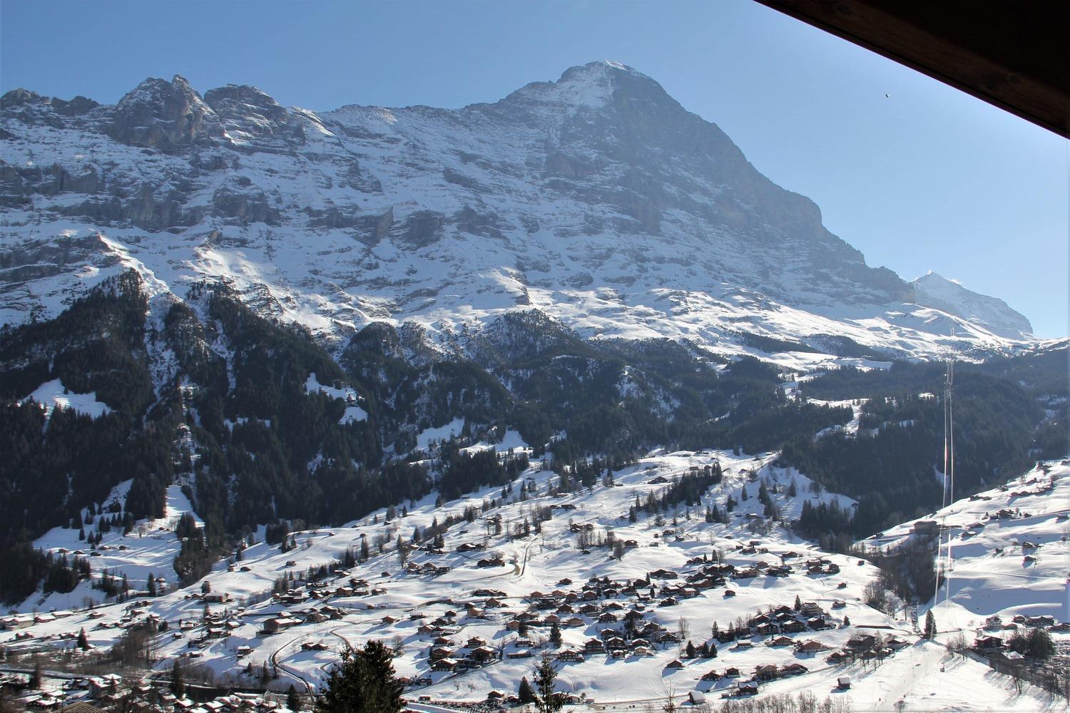 Lodge - Elements Lodge Grindelwald Pokoj fotografie